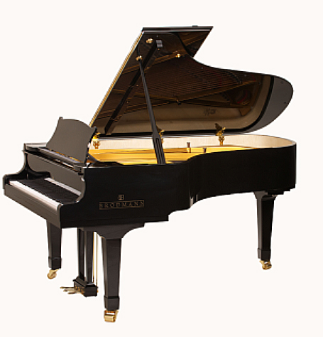 Brodmann model 211 Artist Series Piano
