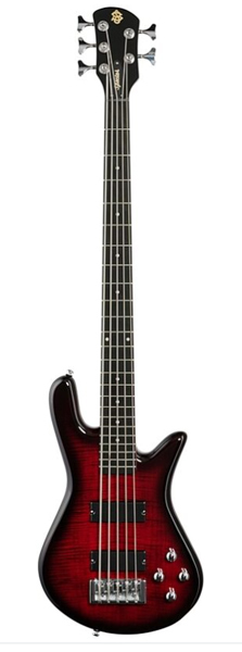 picture of a Spector guitar